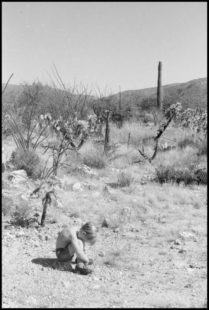 Desert. Arizona, 1981
