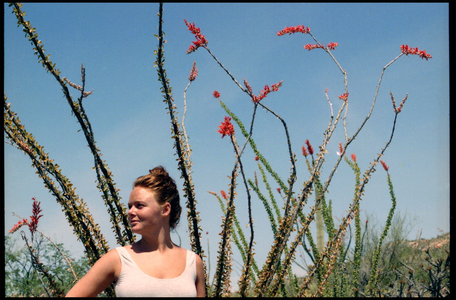 Stella. Arizona, 1992